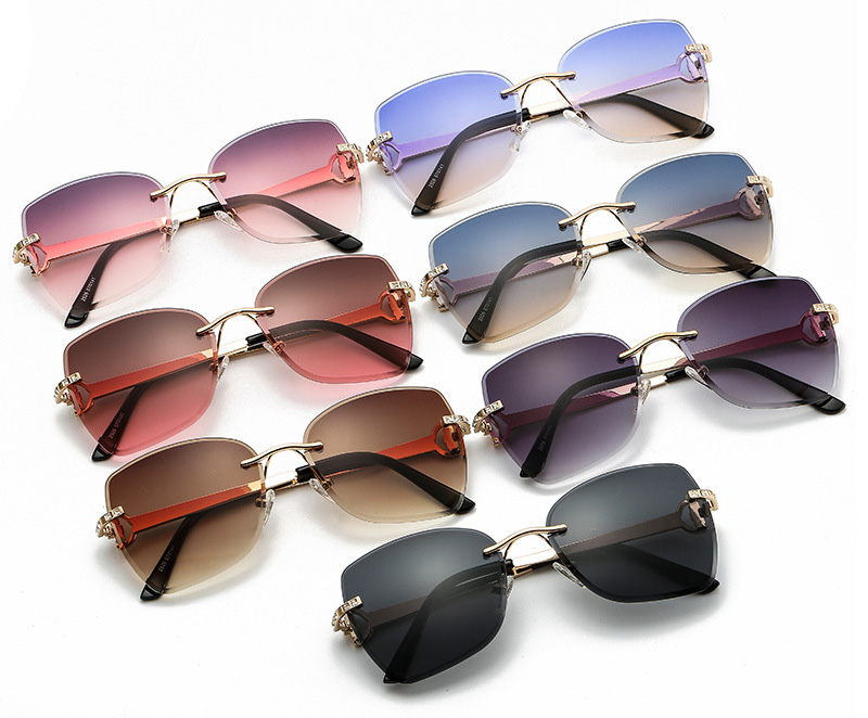 Ladies New Sunglasses