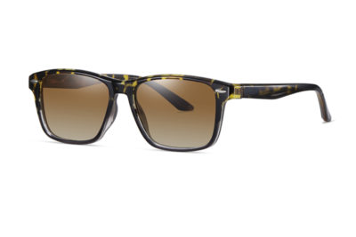 Polarized Branded Sunglasses