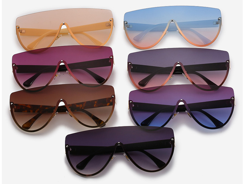 Plastic Branded Sunglasses 2211