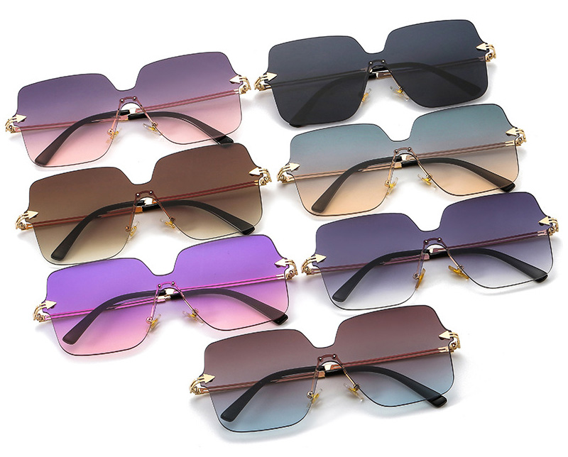 Unique Trendy Sunglasses 8780